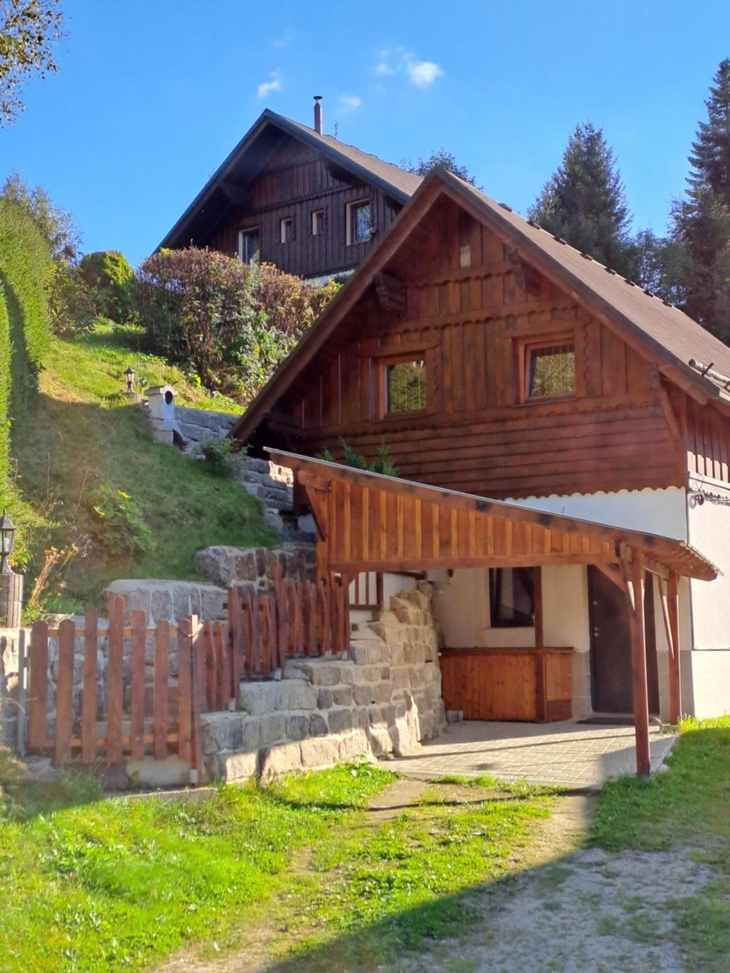 Apartman Albrecht Albrechtice v Jizerskych horach Buitenkant foto
